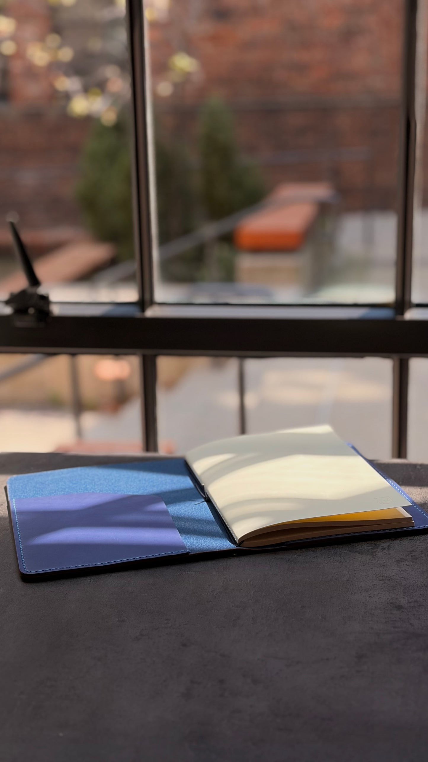 Bifold | Visionary