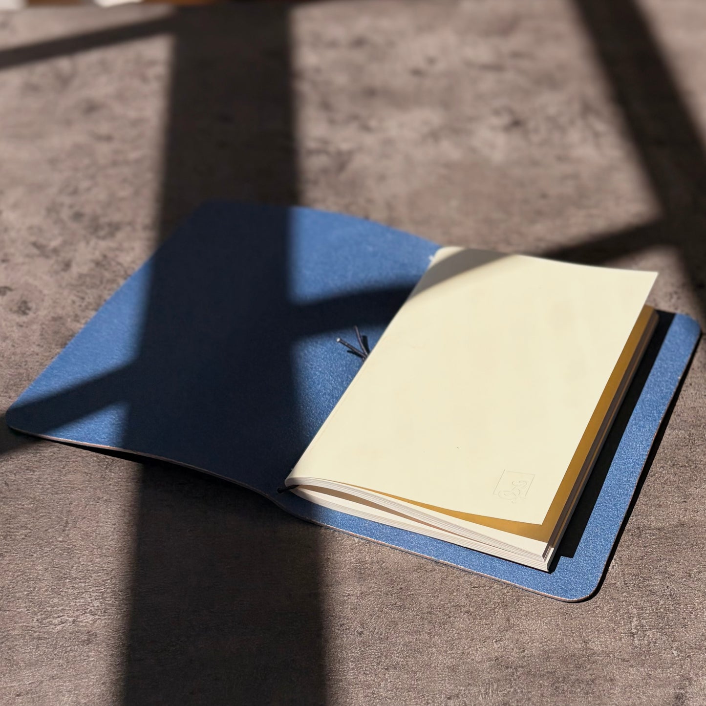 Bifold | Studio