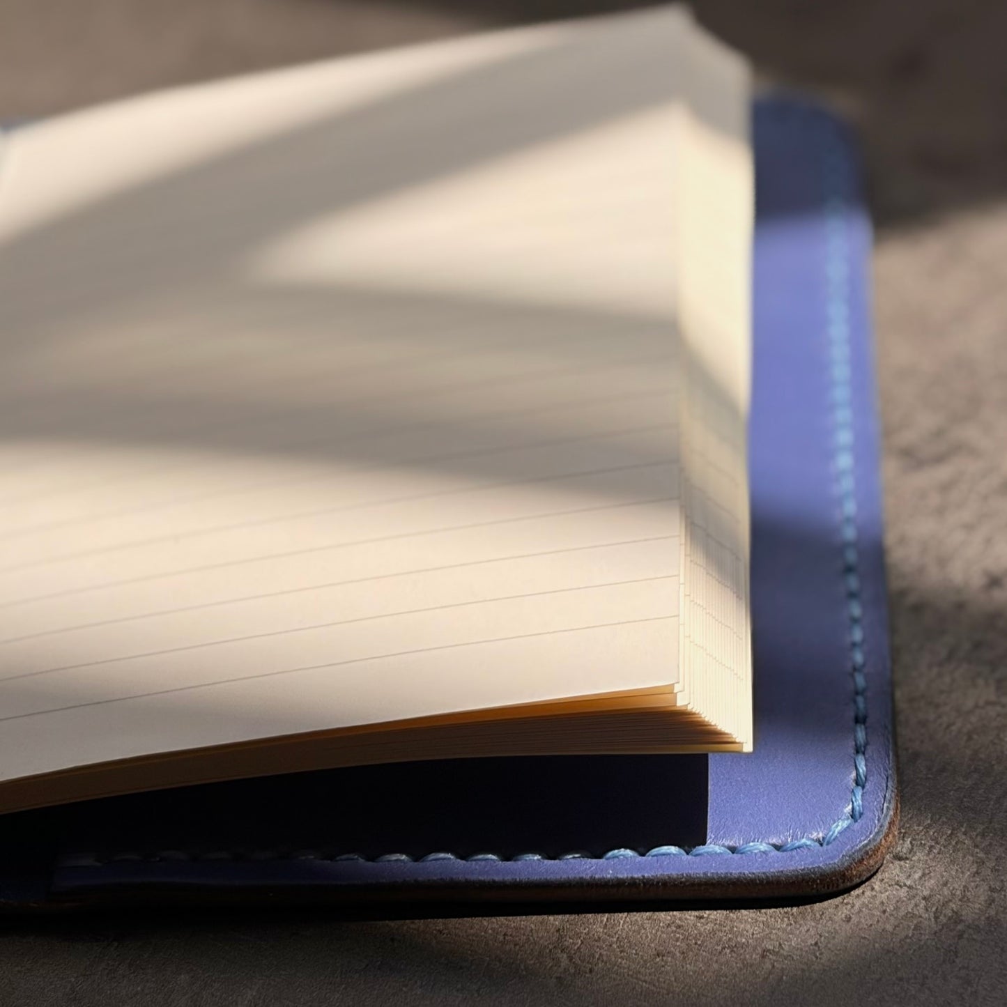 Bifold | Visionary